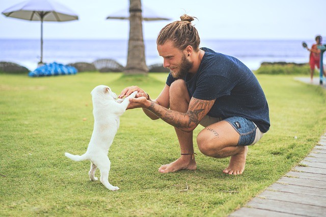 man befriending dog