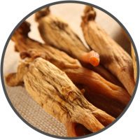 Asian red ginseng