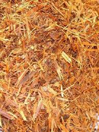 Catuaba Bark Extract Catuaba Bark Extract