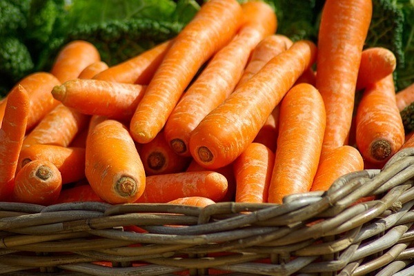 Carrots Increases Vigor and Vitality