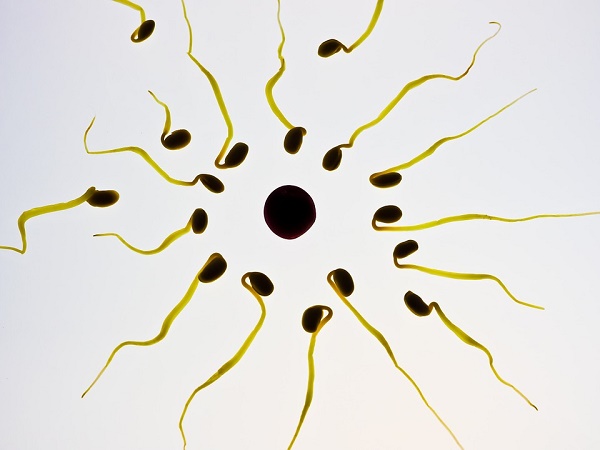 A Crazy Amount Of Sperm