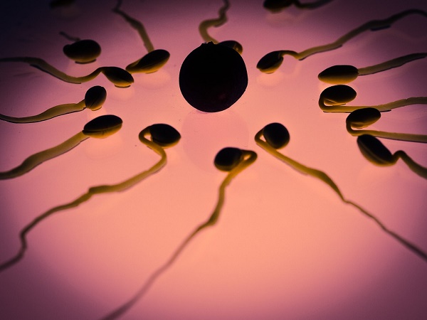 A Man's Sperm