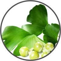 Erectile Dysfunction VigRX Plus helps. Erectile Dysfunction VigRX Plus helps.