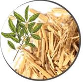 Muira Pauma Bark Extract